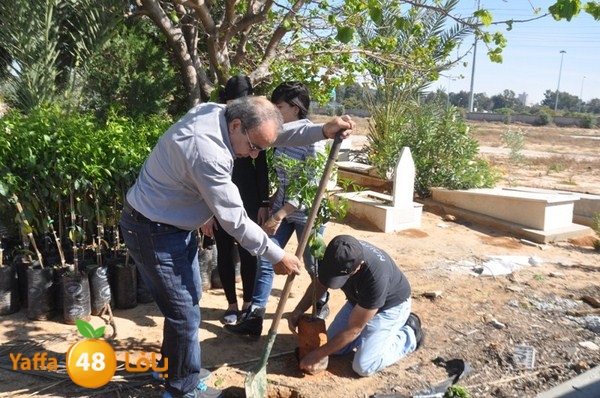 ashjar taso 0328 (12).JPG